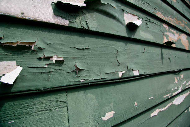 Best Demolition Debris Removal  in Medina, WA